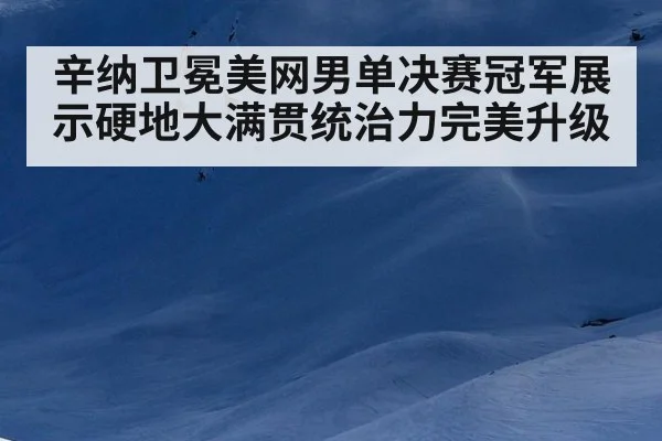 辛纳卫冕美网男单决赛冠军展示硬地大满贯统治力完美升级